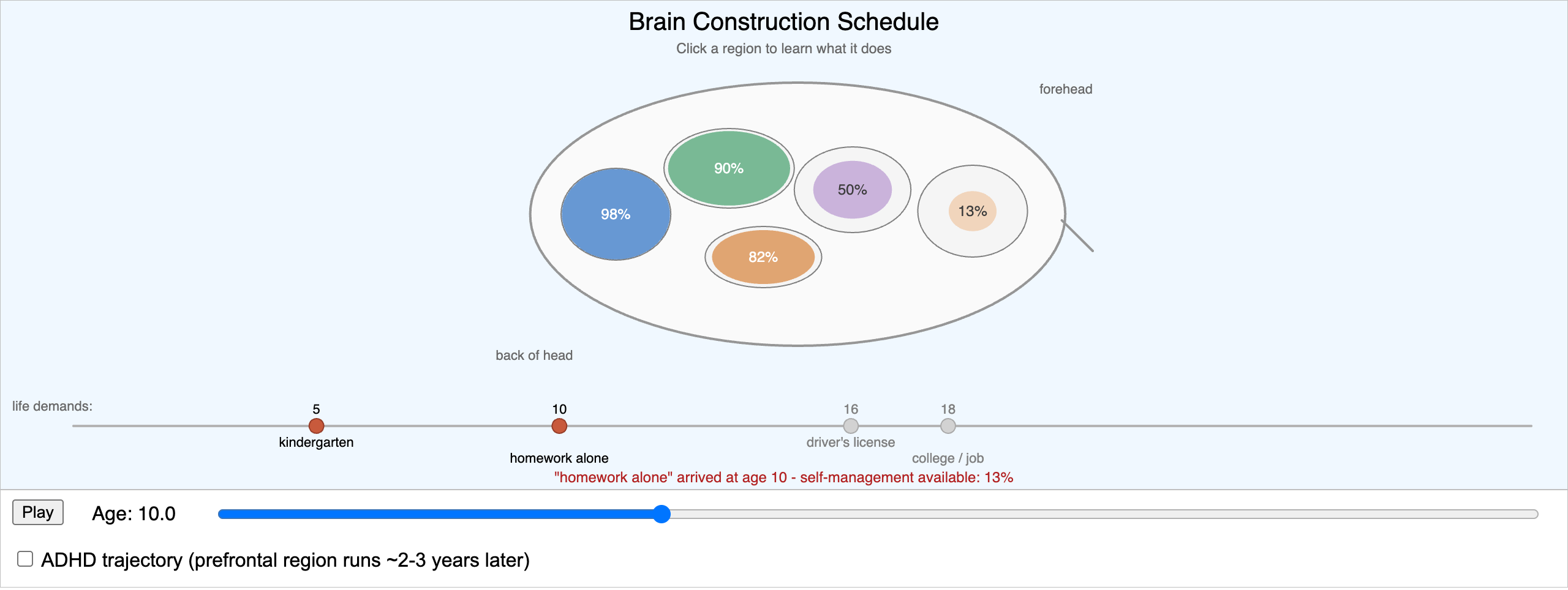 Brain Construction Schedule Explorer