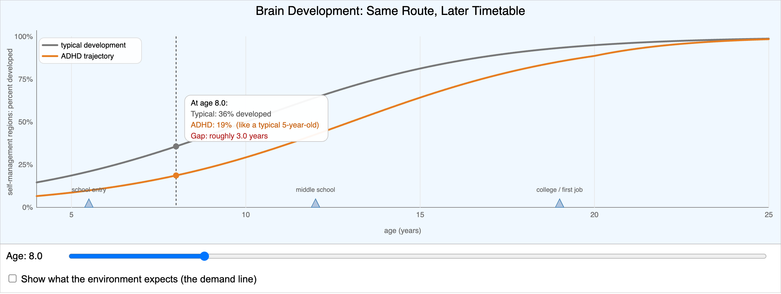 Brain Development Timeline