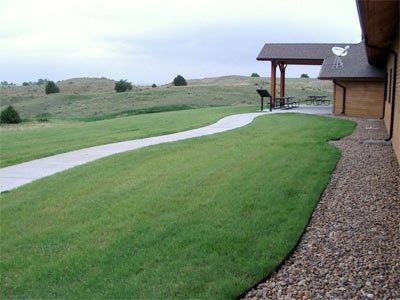StockSeed.com is author. Photo is of turf-type buffalograss lawn outside the Lake Mac Visitor Center in Ogallala, NE.
