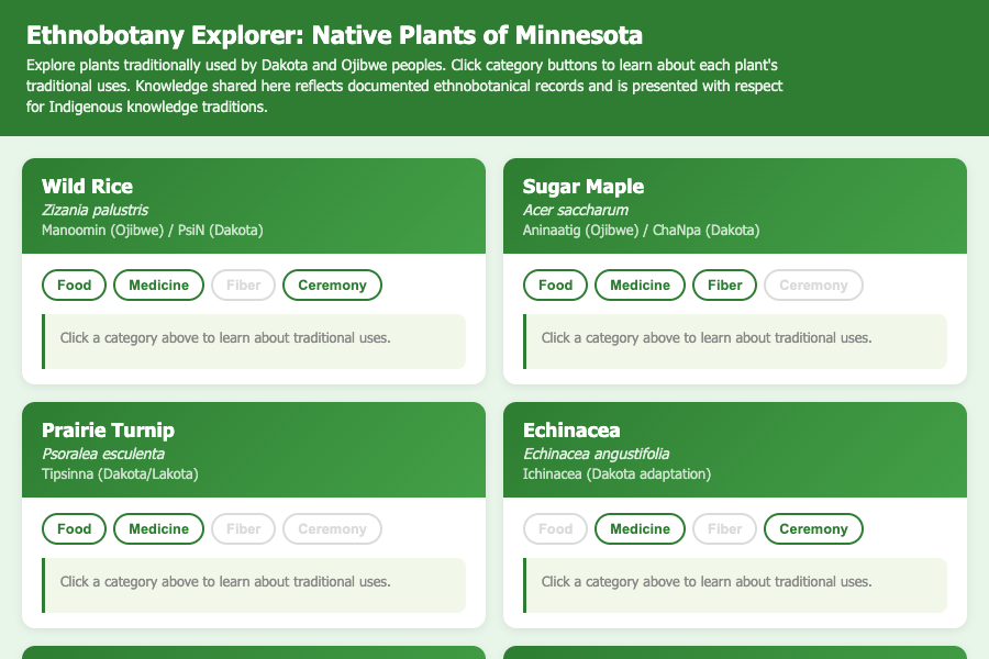 Ethnobotany Explorer