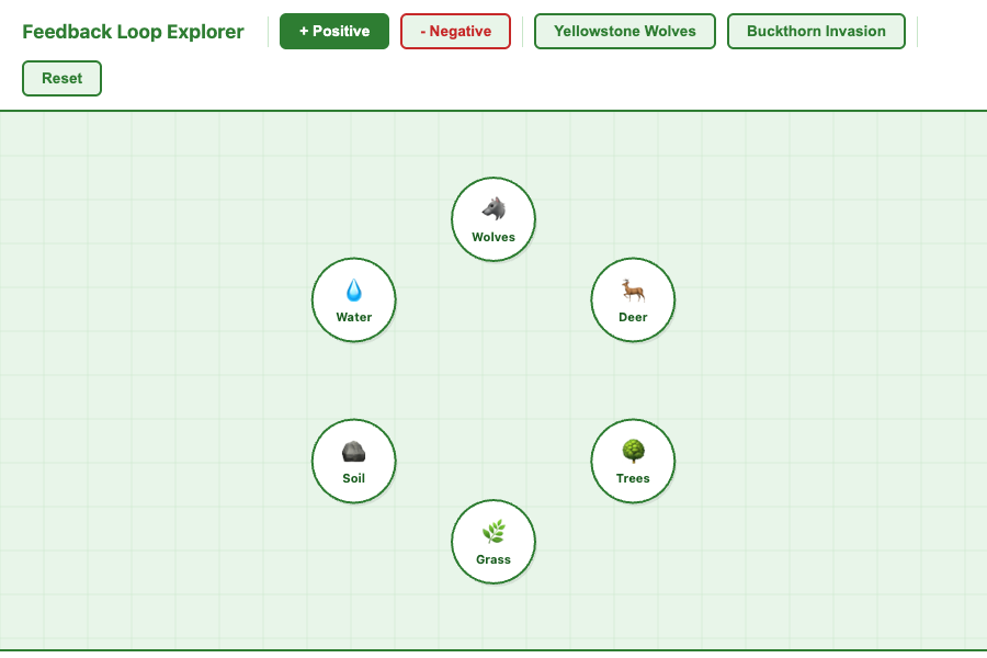 Feedback Loop Explorer