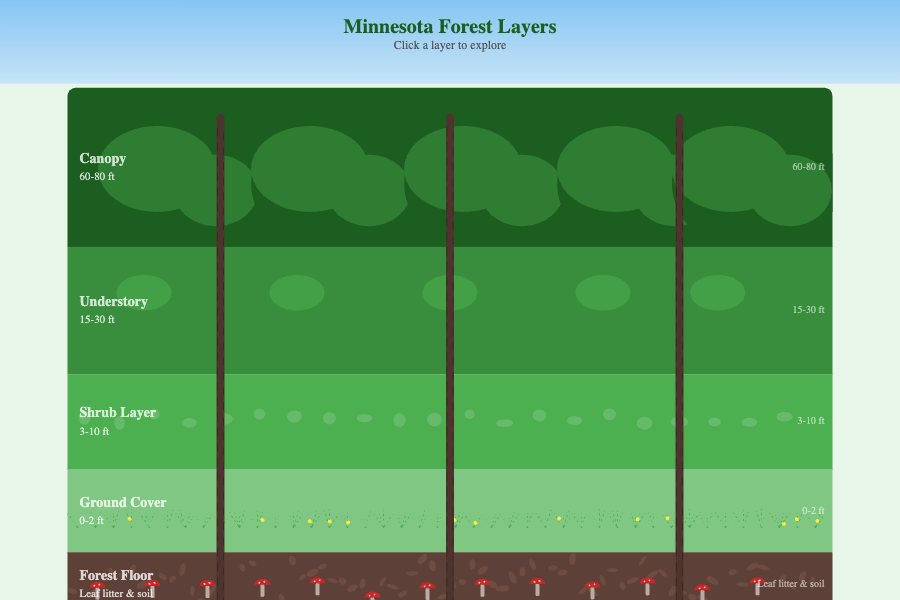 Minnesota Forest Layers