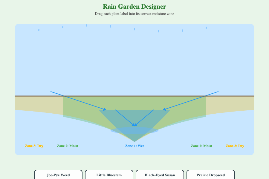 Rain Garden Designer